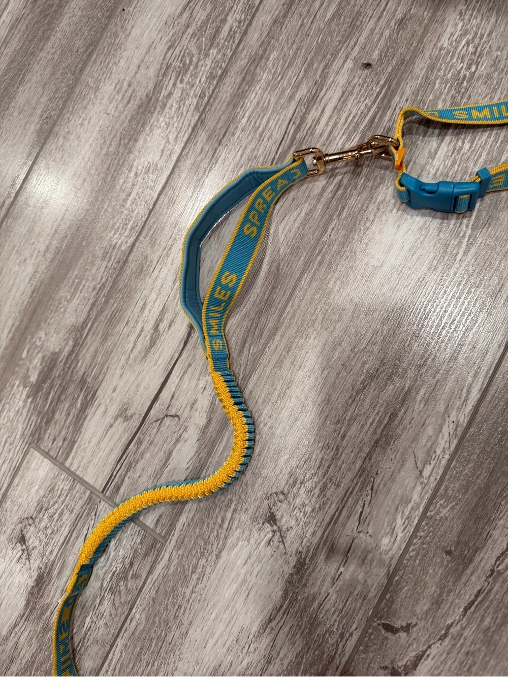 Cuddle Collab Hands Free Dog Leash